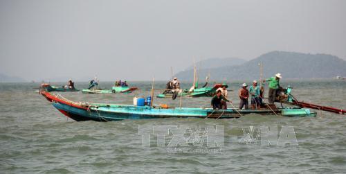  Nhức nhối nạn cướp nghêu, sò trên ngư trường ảnh 1